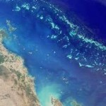 Great Barrier Reef Accident Highlights Risks to Reefs