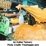 Renewable Energy Production from Tannery Wastes