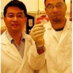 Graphene-Based Organic Photovoltaics Offer Promise of Cheap & Easy Solar Energy