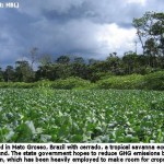 Study Estimates Future Greenhouse Gas Emissions from Brazilian Amazon State