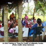 Trees for Credit: Integrating Environment Sustainability, Livelihoods and Development