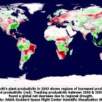 Drought Drives Decade-Long Decline in Plant Growth