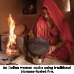 Energy Policies: Subsidies and Financing Could Change Cooking Fuel Use in India