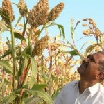 Biodiversity: The Lifeline of Sustainable Agriculture