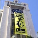 Marine Conservation: Greenpeace Demands Bold Measures from U.S. in Protecting Pacific Tuna