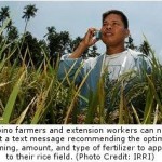 Higher Rice Production a Phone Call Away for Filipino Farmers