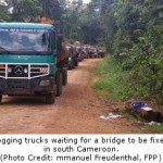 REDD and Rights in Cameroon