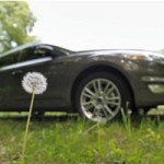 Ford Looks to Dandelions for Sustainable Source of Rubber