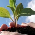 New Sustainability Reporting Guidelines Sponsored by Leading Companies