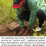 Reforestation Projects Bring Carbon Revenues and Co-Benefits to Poor Communities