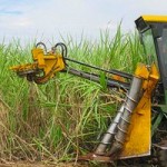 Study on Renewable Jet Fuel from Brazilian Sugarcane