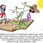 Progress Towards Developing Plants That Accommodate Climate Change