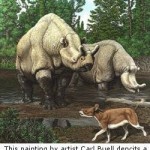 North American Mammal Evolution Tracks with Climate Change