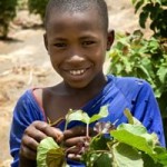 Kia Pledges 1.5 Million for Charity Shrub Planting Programme in West Africa