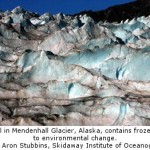 Scientists Unlock Record of Ecosystem Changes Frozen in World’s Glaciers