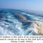 Gulf of Mexico Oil Spill’s Effects on Deep-Water Corals