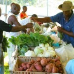 Barbados Unveils Study to Accelerate Green Economy Transition