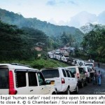 India: Illegal ‘Human Safari’ Road Still Open 10 Years On