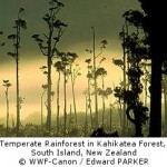 New Zealand’s Natural Heritage Threatened by 20 Years of Environmental Inaction