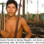 Earth’s Most Threatened Tribe Demands Action as Logging Season Starts