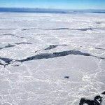 Opposite Behaviors? Arctic Sea Ice Shrinks, Antarctic Grows