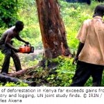 Deforestation Costing Kenyan Economy Millions of Dollars Each Year