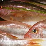 Mercury Releases to Air and Rivers Contaminate Ocean Fish