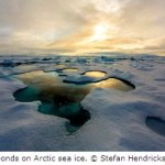 Melt Ponds Cause Arctic Sea Ice to Melt More Rapidly