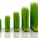 Study Shows Increased Profits for Companies That Embrace Sustainability