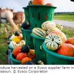 Sysco Corporation Launched Its Sixth Annual Sustainability Report