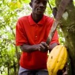 Broken Food System Fails Smallholder Farmers