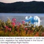 New Models Predict Drastically Greener Arctic in Coming Decades