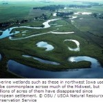 New System to Restore Wetlands could Reduce Massive Floods, Aid Crops