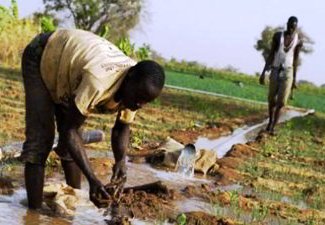 Smallholder Farmers in Africa