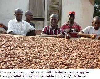 Sustainable Cocoa