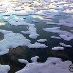 Arctic Region Threatened Further by Ocean Acidification