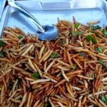 Forest Products Critical to Fight Hunger – Including Insects