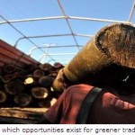 Greening Trade Imperative for Sustainable Development