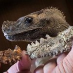 With Global Warming, will Iguanas Grow as Big as Komodo Dragons?