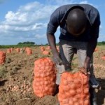 Smallholder Farmers Key to Lifting Over One Billion People Out of Poverty