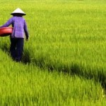 Warmer World Threatens Livelihoods in South East Asia