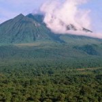 World Heritage Committee Requests Cancelation of Virunga Oil Permits