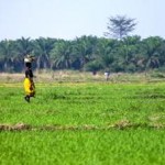 How Africa Can Transform Land Tenure, Revolutionize Agriculture and End Poverty