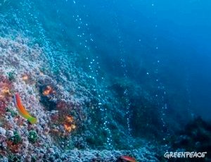 Deep Seabed Mining. © Greenpeace