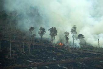 Forest Fires and Deforestation in Indonesia