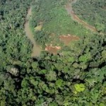 Paraguay Extends Zero Deforestation Law to 2018