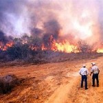 Wildfire Smoke Poses Health Risk to Millions of Americans Miles from the Blazes