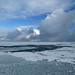 Arctic Sea Ice Avoids Last Year’s Record Low