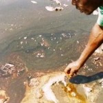 Shell’s False Claims on Niger Delta Oil Spills Exposed