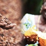 GrowCocoa Highlights Sustainability and Livelihoods Achievements